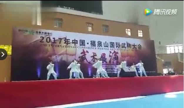 广州太虚队2017中国福泉国际武林大会